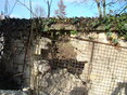 Židovský hřbitov před obnovou